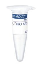 1003-601- Dia-root bio MTA